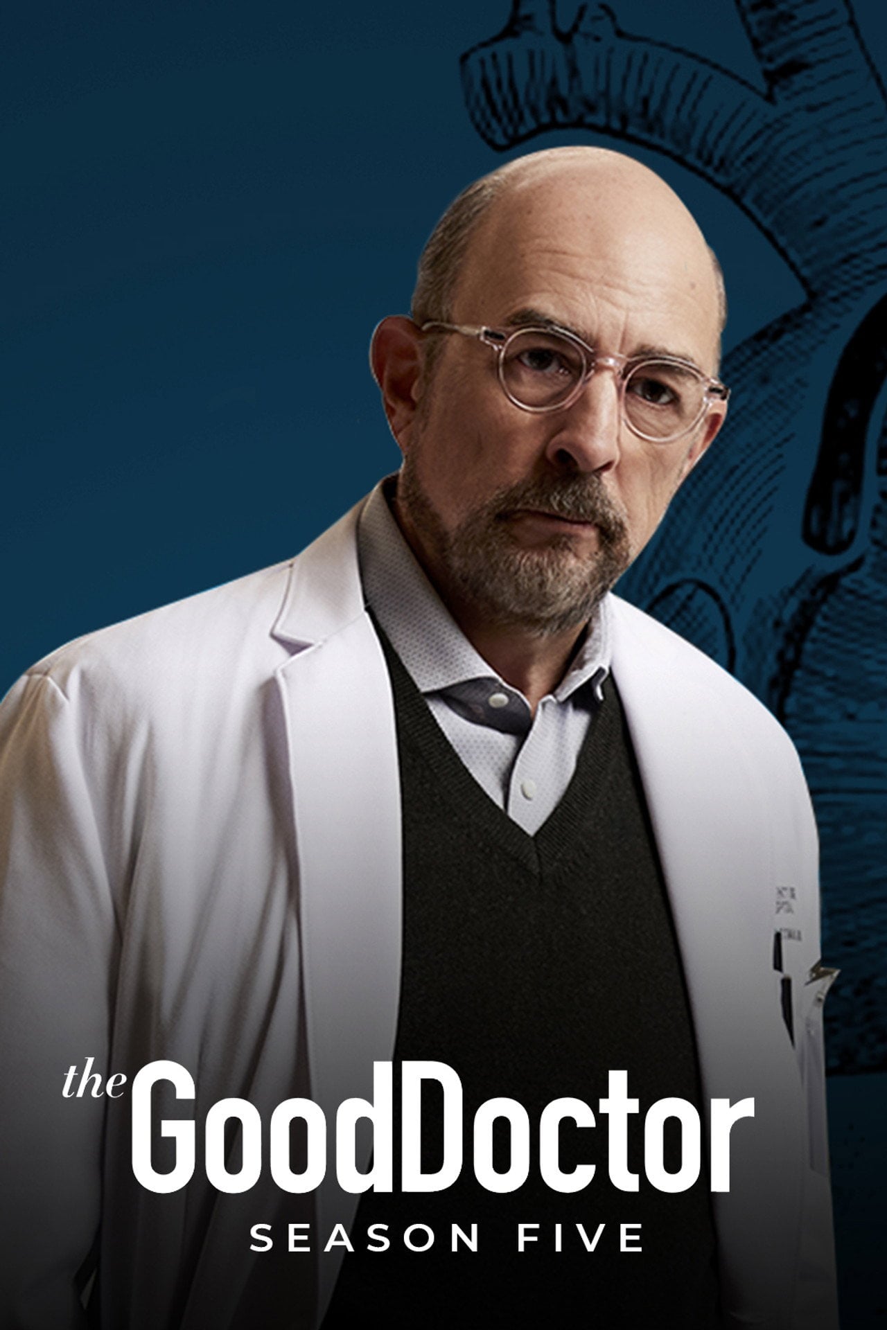 The Good Doctor Sezon 5 - Sprawdź na Vider