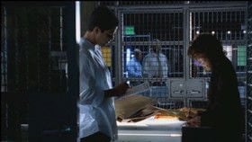 CSI: Kryminalne zagadki Miami