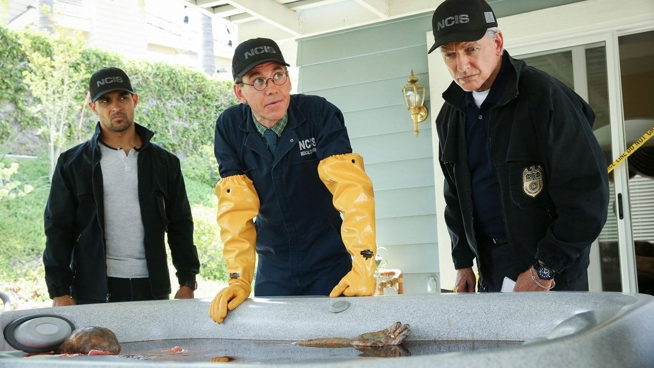 Agenci NCIS
