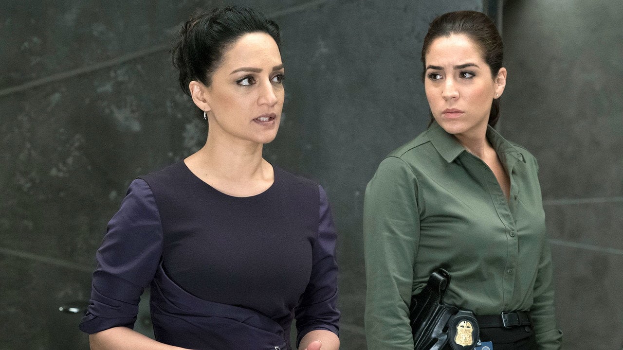 Blindspot: Mapa zbrodni