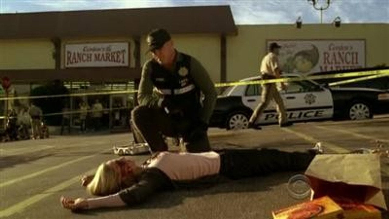 CSI. Kryminalne zagadki Las Vegas