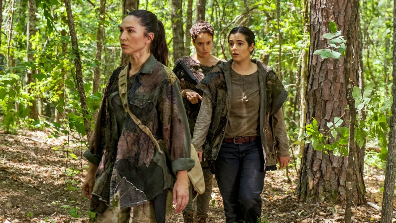 The Walking Dead