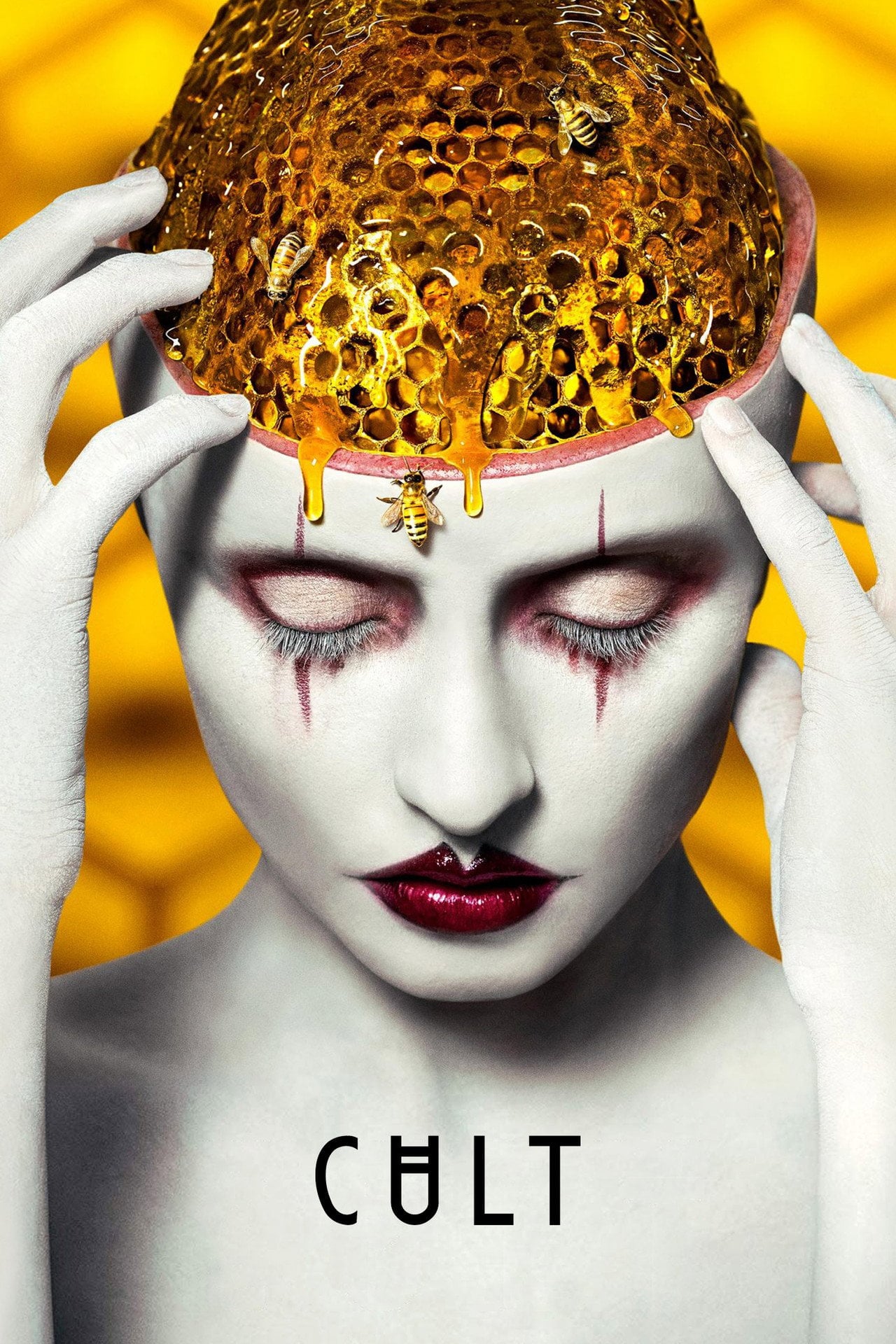 American Horror Story Sezon 7 - Sprawdź na Vider