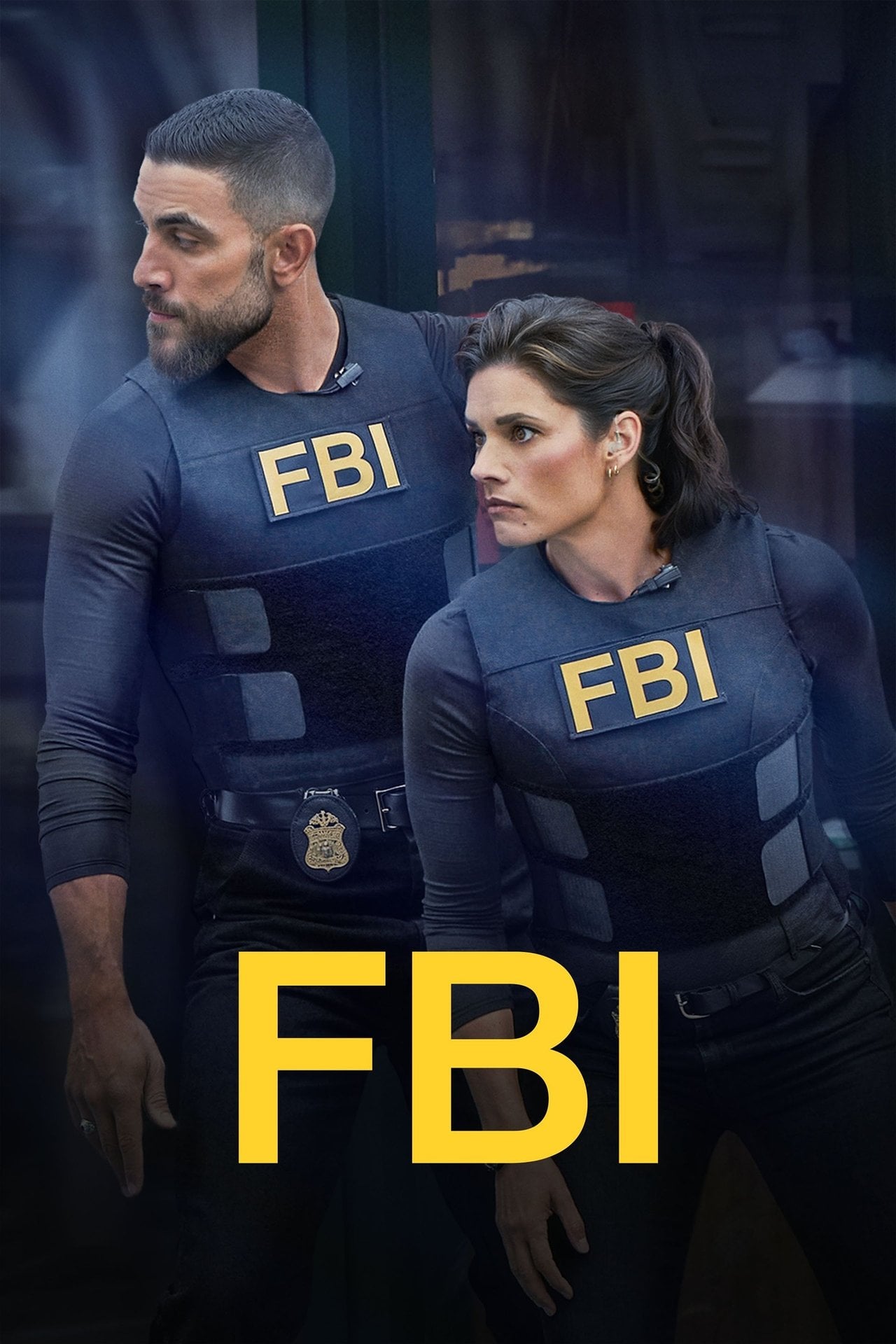 FBI Sezon 8 - Sprawdź na Vider