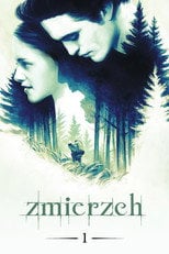Zmierzch (2008) - Sprawdź film na Vider
