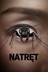 Natręt (2025) - Sprawdź film na Vider