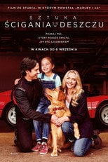 Sztuka ścigania się w deszczu (2019) - Sprawdź film na Vider