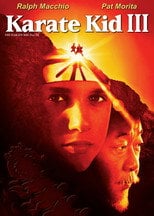 Karate Kid 3 (1989) - Sprawdź film na Vider