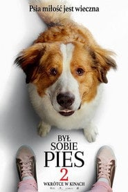 Był sobie pies 2 (2019) - Sprawdź film na Vider
