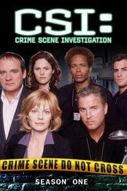 CSI. Kryminalne zagadki Las Vegas Sezon 1 - Sprawdź na Vider