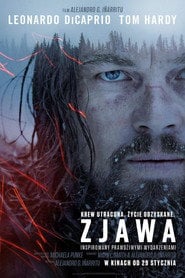 Zjawa (2015) - Sprawdź film na Vider