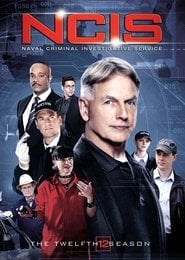 Agenci NCIS Sezon 12 - Sprawdź na Vider