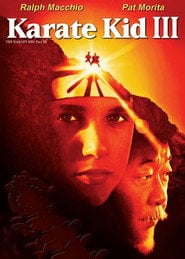 Karate Kid 3 (1989) - Sprawdź film na Vider