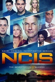 Agenci NCIS Sezon 17 - Sprawdź na Vider