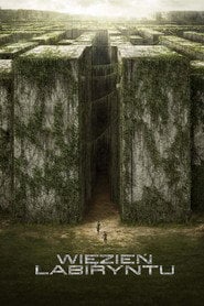 Więzień labiryntu (2014) - Sprawdź film na Vider