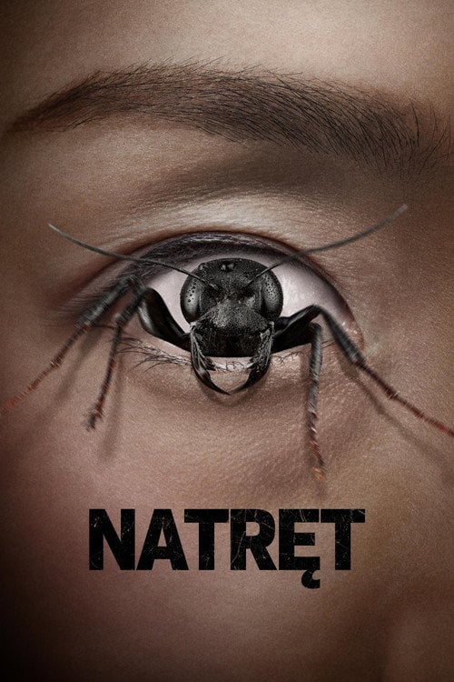 Natręt (2025) - Sprawdź film na Vider
