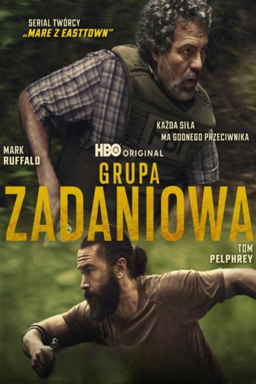 Grupa zadaniowa (2025) - Sprawdź serial na Vider
